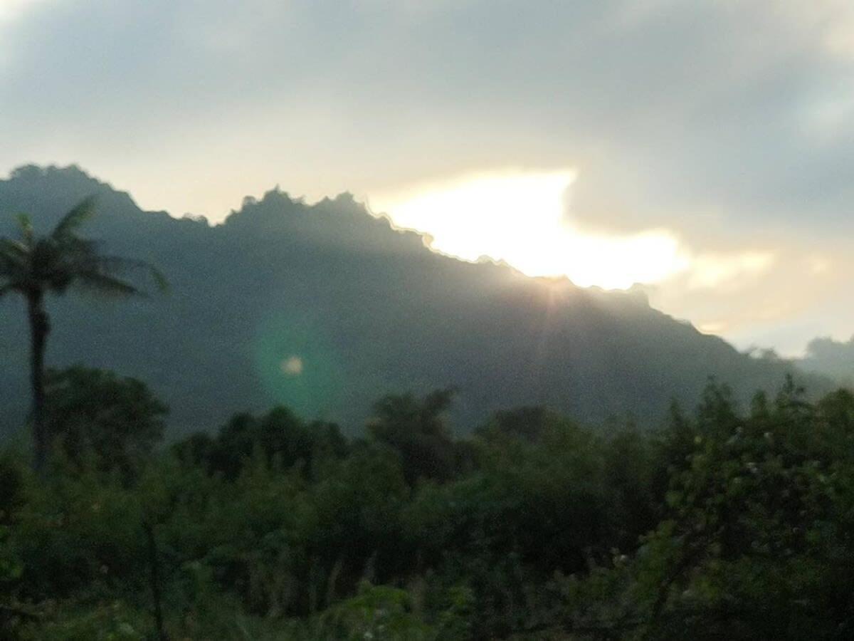 The Dawn 2 By Tiny Away Villa Cao Hùng Ngoại thất bức ảnh
