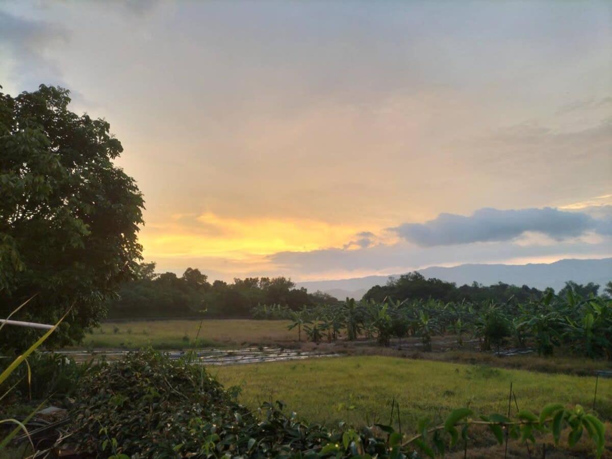 The Dawn 2 By Tiny Away Villa Cao Hùng Ngoại thất bức ảnh